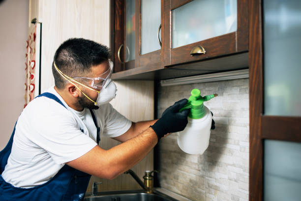 Best Best Pest Control Companies  in Madison, IL