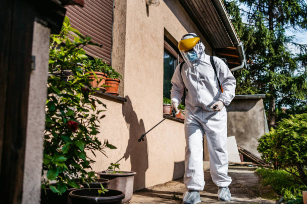 Best Wasp Removal Services  in Madison, IL