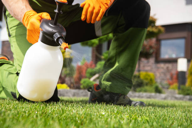 Best Mosquito Control Services  in Madison, IL