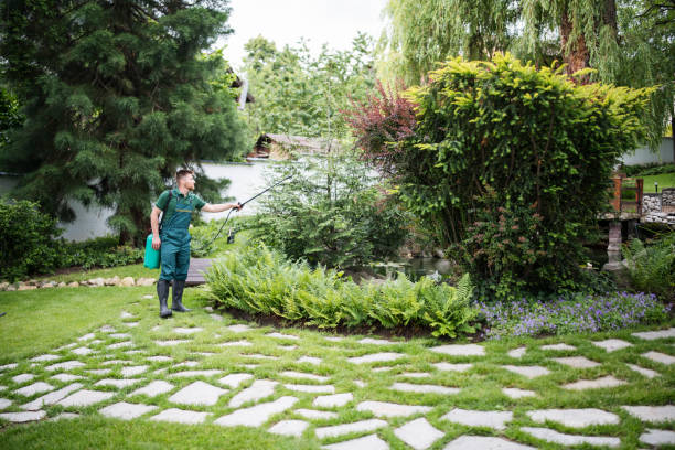 Best Affordable Pest Control Services  in Madison, IL