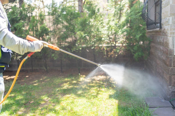 Best Pest Control Near Me  in Madison, IL