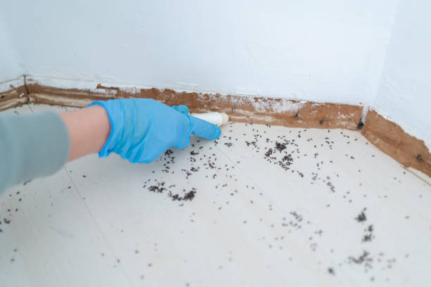 Best Pest Control for Restaurants  in Madison, IL