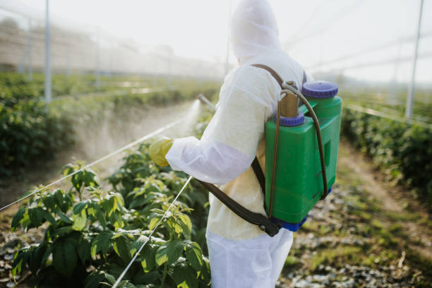 Best Pest Inspection Near Me  in Madison, IL